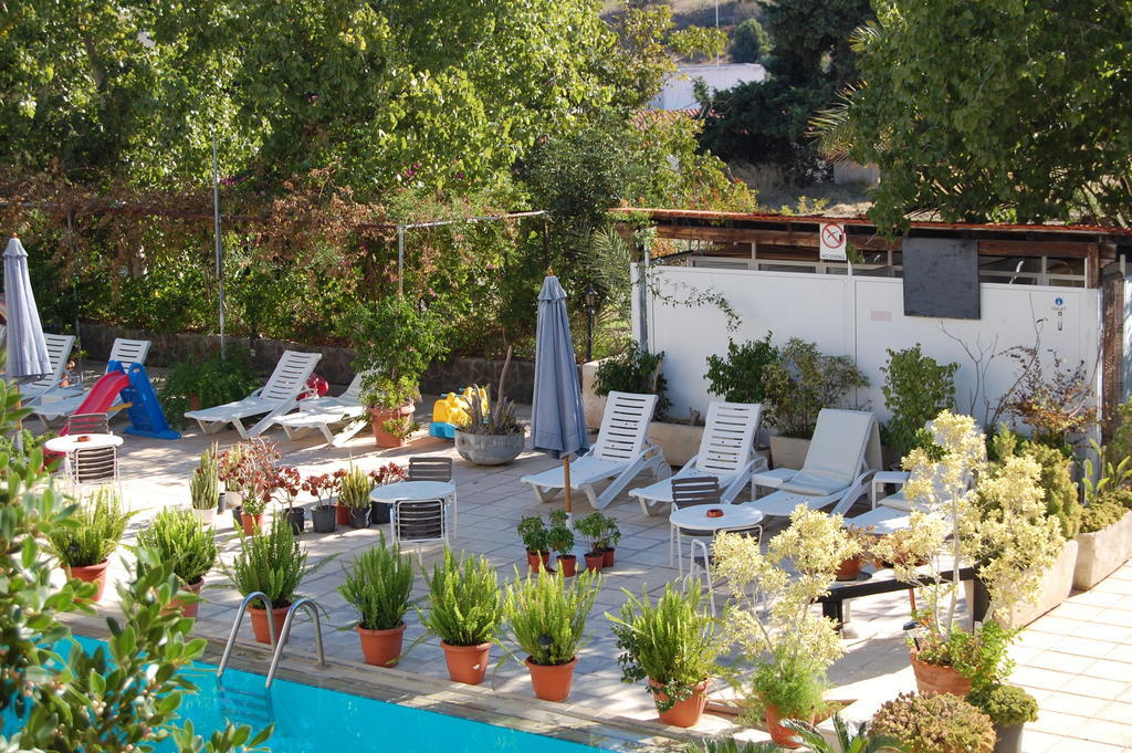 Nicos & Olympia Apartments Polis Exterior photo